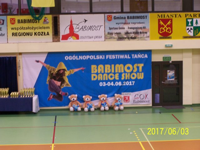 fest 37